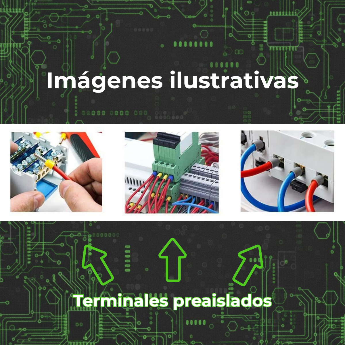Terminal Puntera Doble Hueca Tif 2x4 Mm Akpro X50u  Rohs CeT
